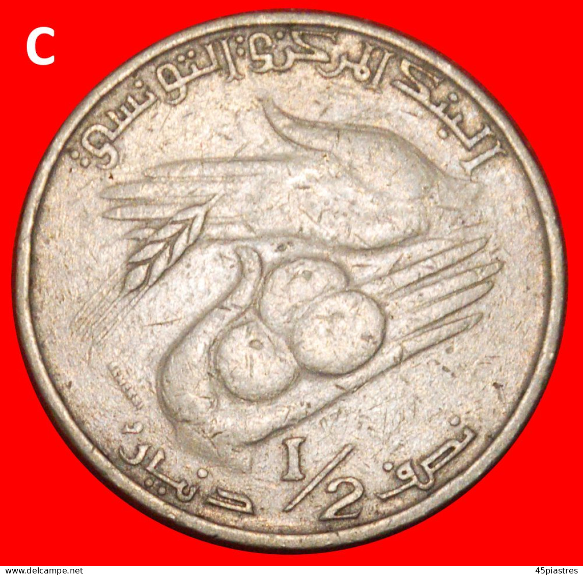 * BOURGUIBA (1903-2000): TUNISIA  1/2 DINAR 1983! BOTH VARIETIES!  · LOW START ·  NO RESERVE! - Errores Y Curiosidades