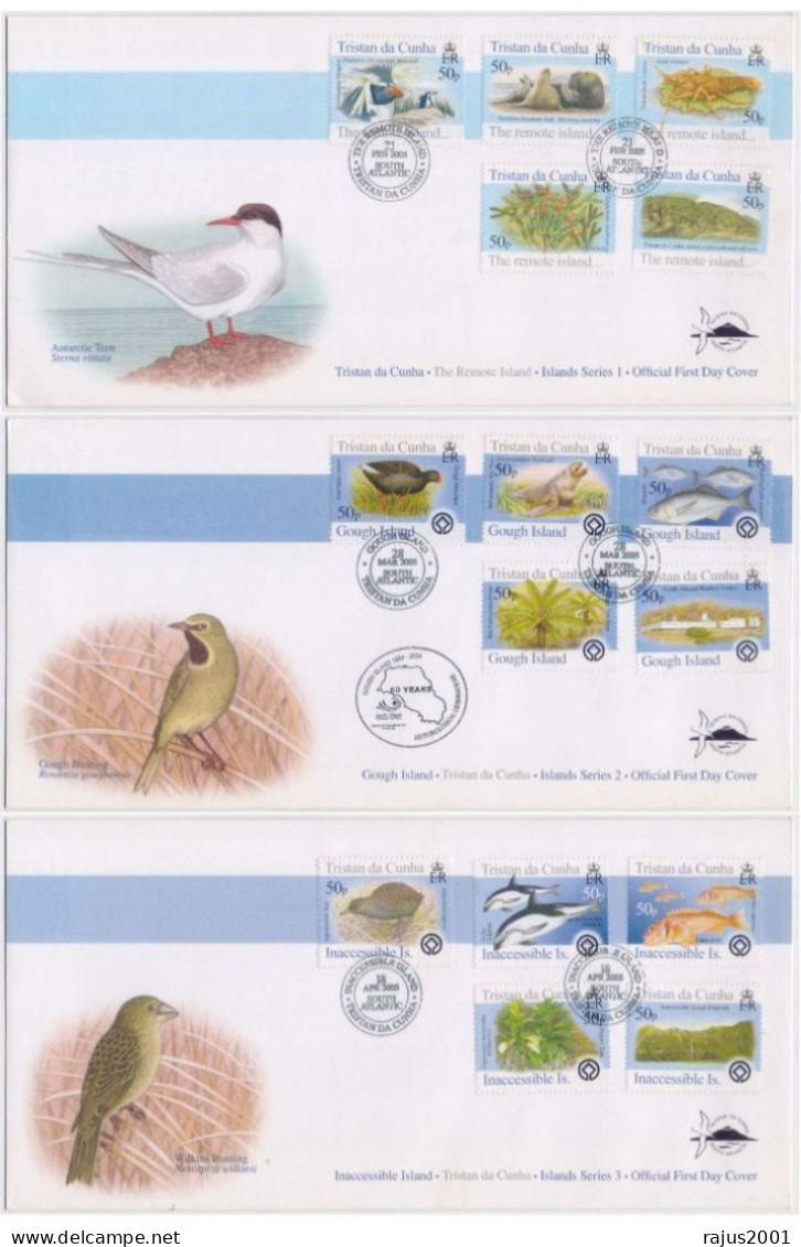 Birds, Bird, Seagulls, Rockhopper Penguin Walrus Seal, Antarctic Tern, Lobster, Marine Animal, Fauna Tristan 3x FDC 2005 - Seagulls