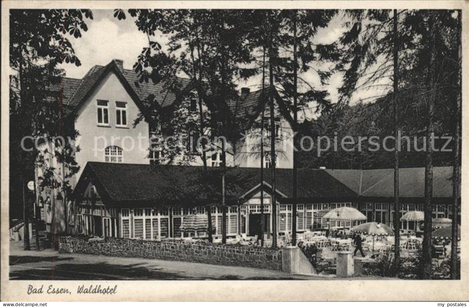 41563391 Bad Essen Waldhotel Bad Essen - Bad Essen