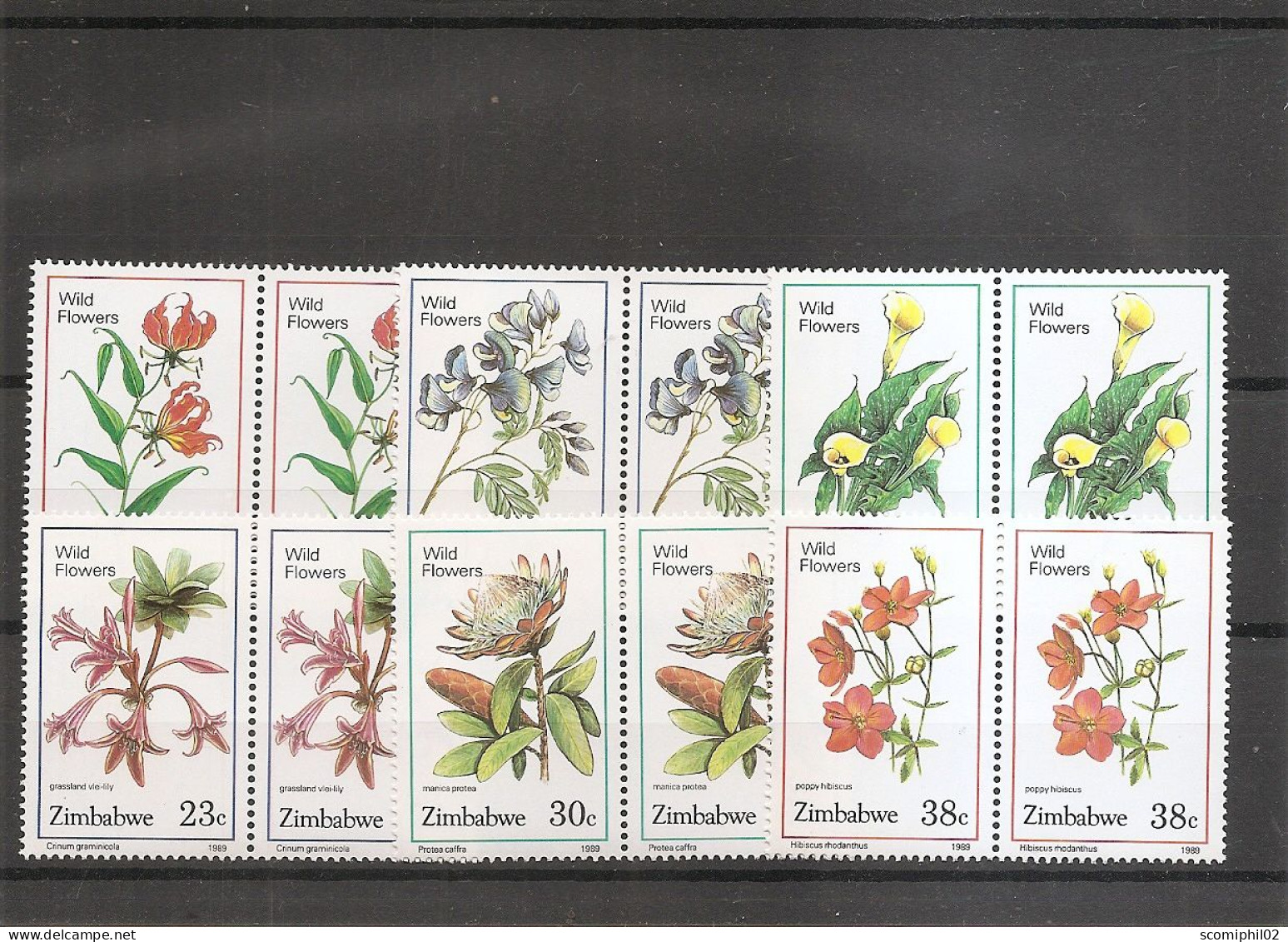 Zimbabwe - Fleurs ( 174/179 En Paires XXX -MNH ) - Zimbabwe (1980-...)