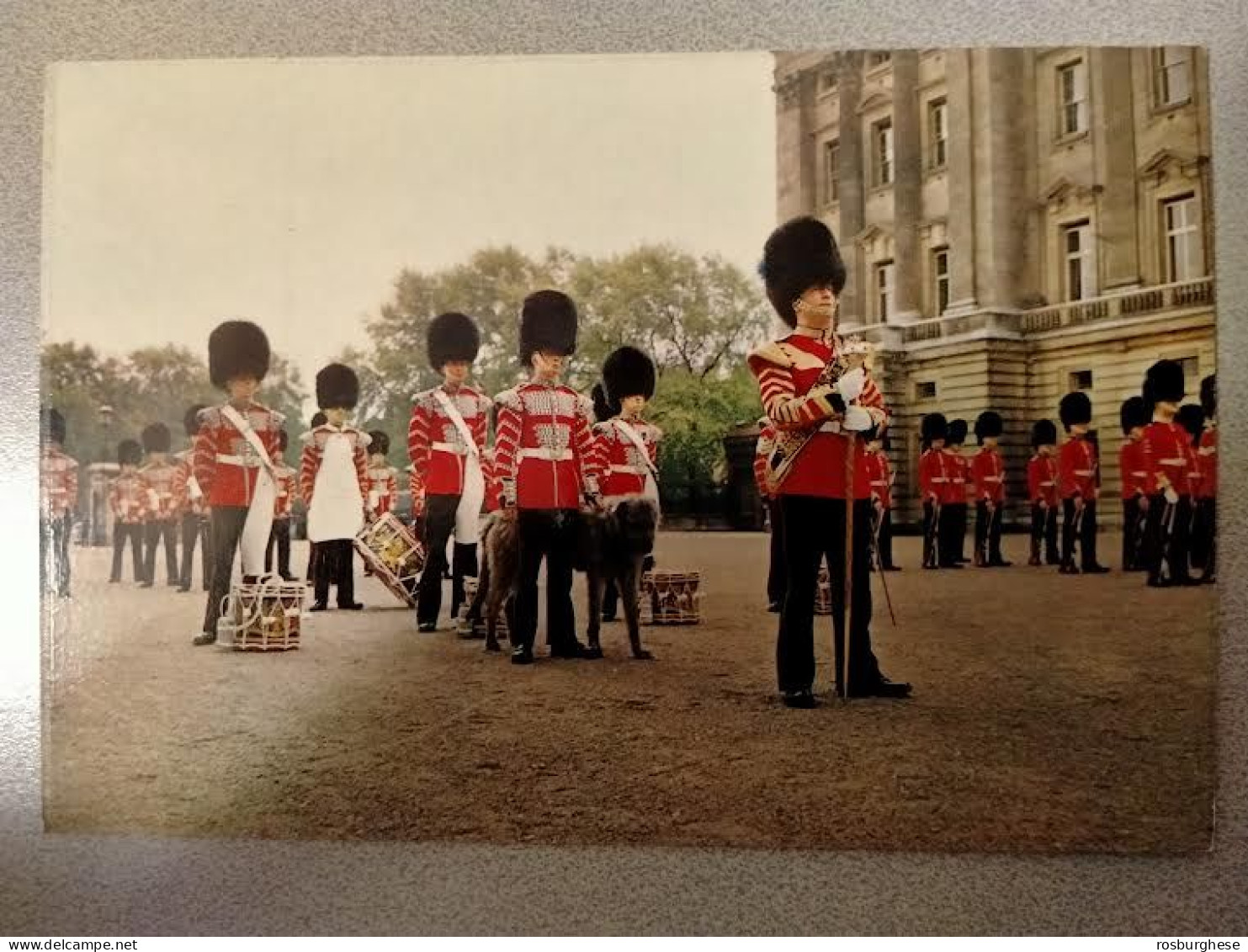 Cartolina Londra Corps Drum 1st Battalion Irish Guards Buckingham - FG - Buckingham Palace