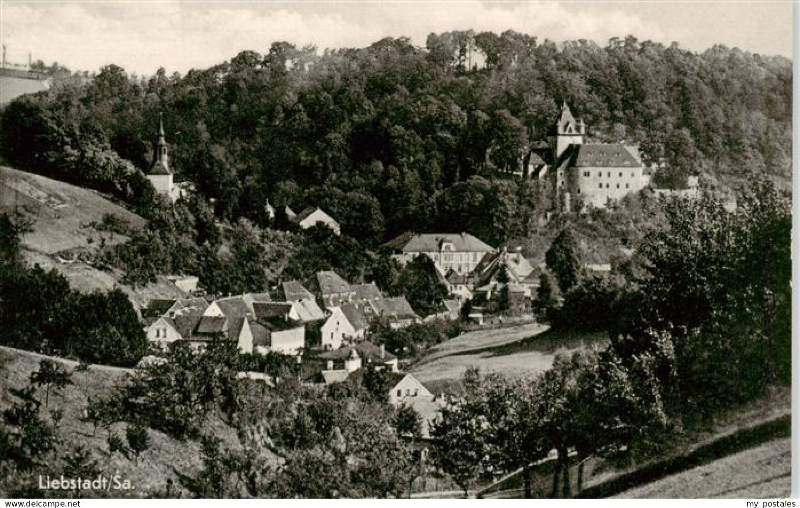 73910165 Liebstadt Teilansicht Mit Schloss - Liebstadt