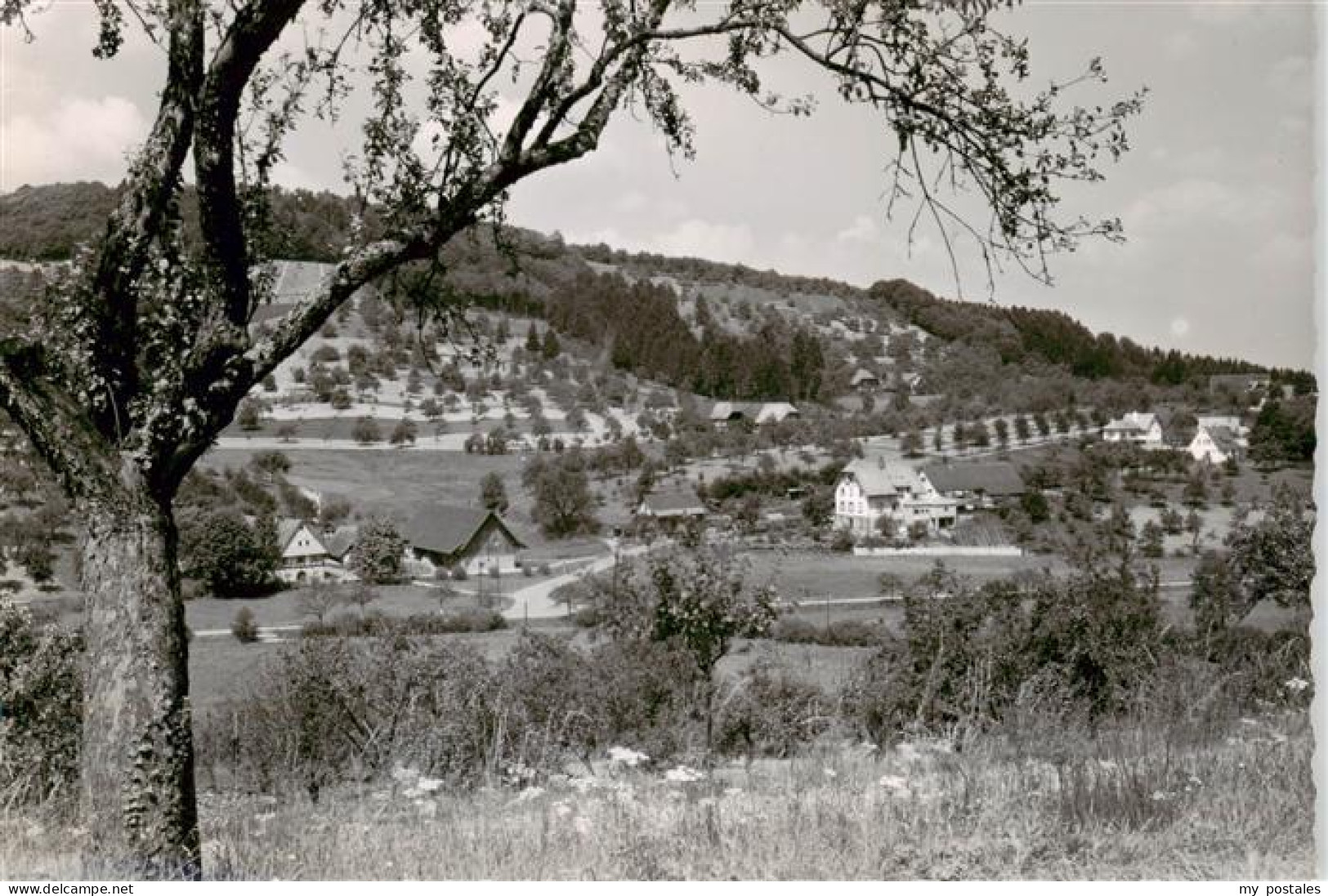 73870339 Oedsbach Oberkirch Panorama  - Oberkirch