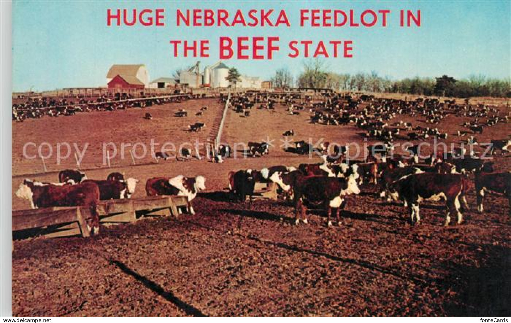 73243358 Nebraska_US-State Feedlot In Beef State - Autres & Non Classés