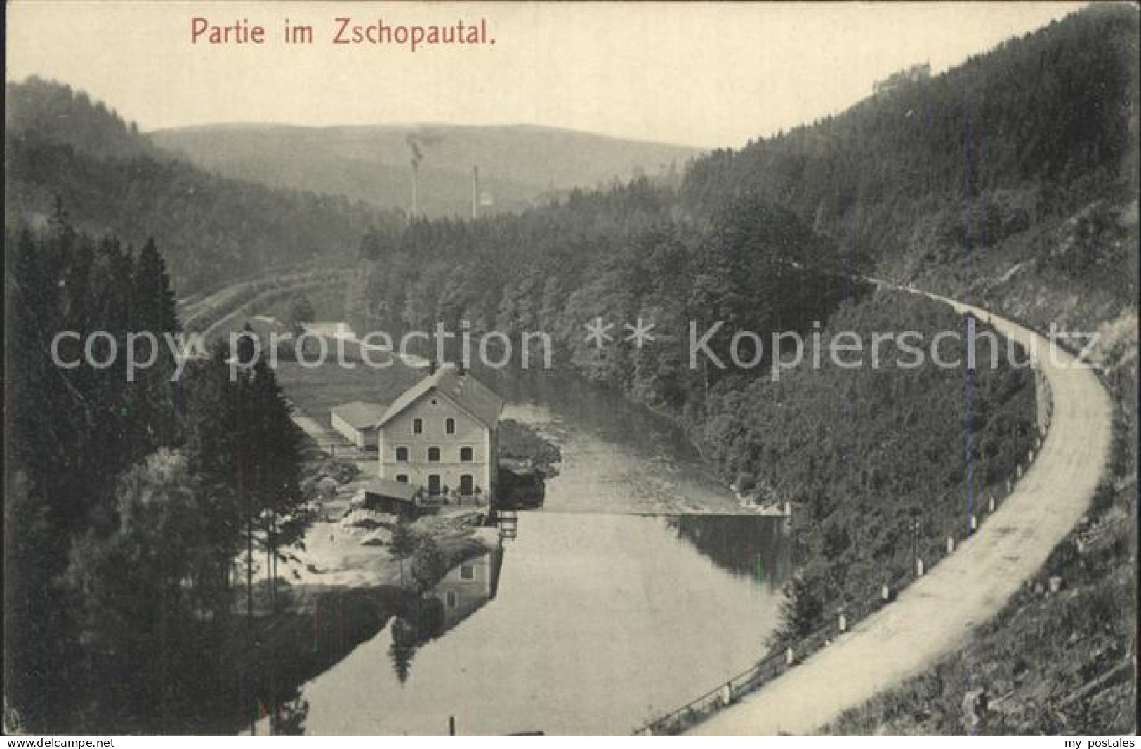 42246802 Zschopau Partie Im Zschopautal Zschopau - Zschopau