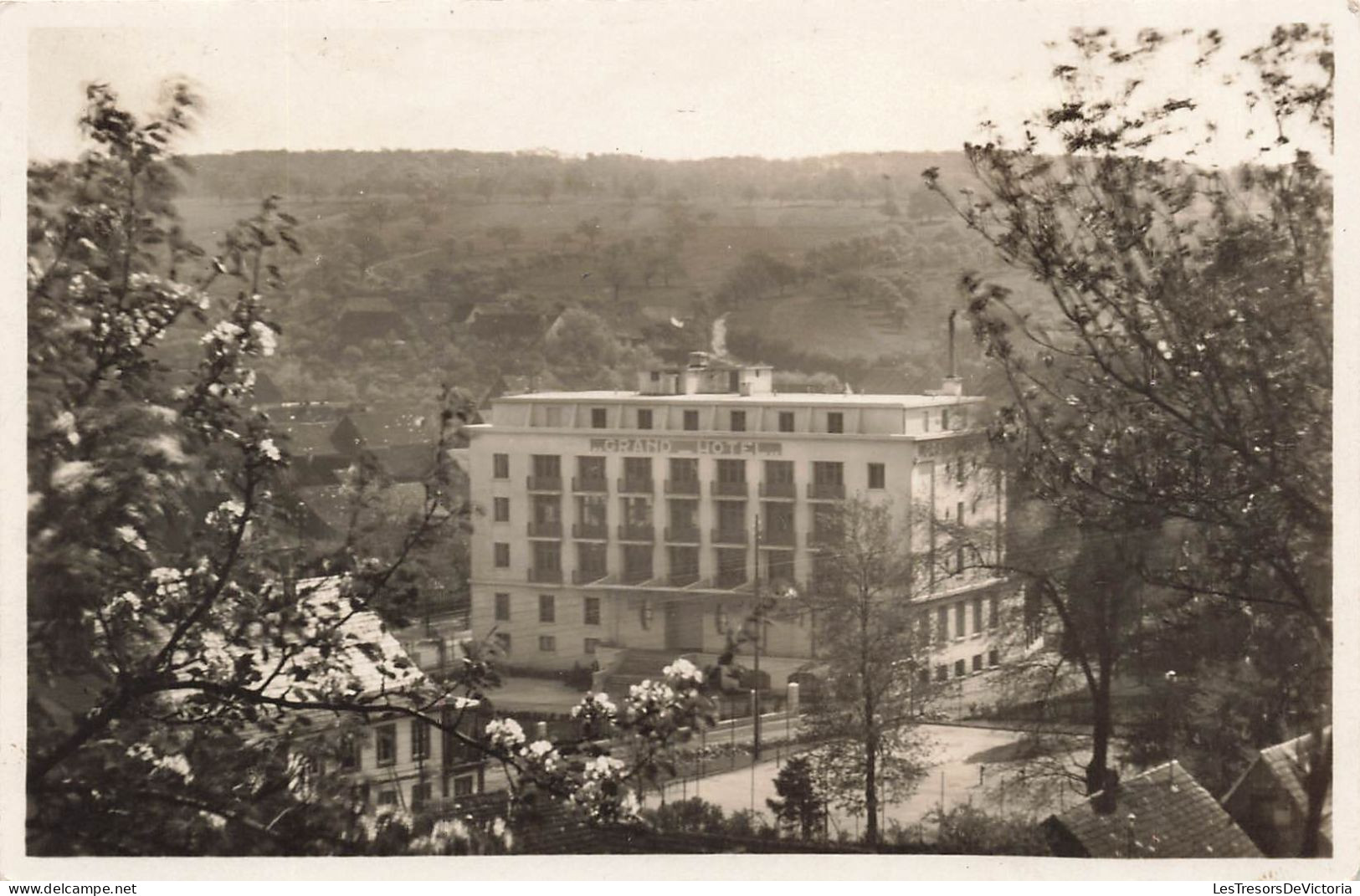 FRANCE - Niederbvonn - Vue Sur Le Grand Hôtel - Carte Postale Ancienne - Niederbronn Les Bains
