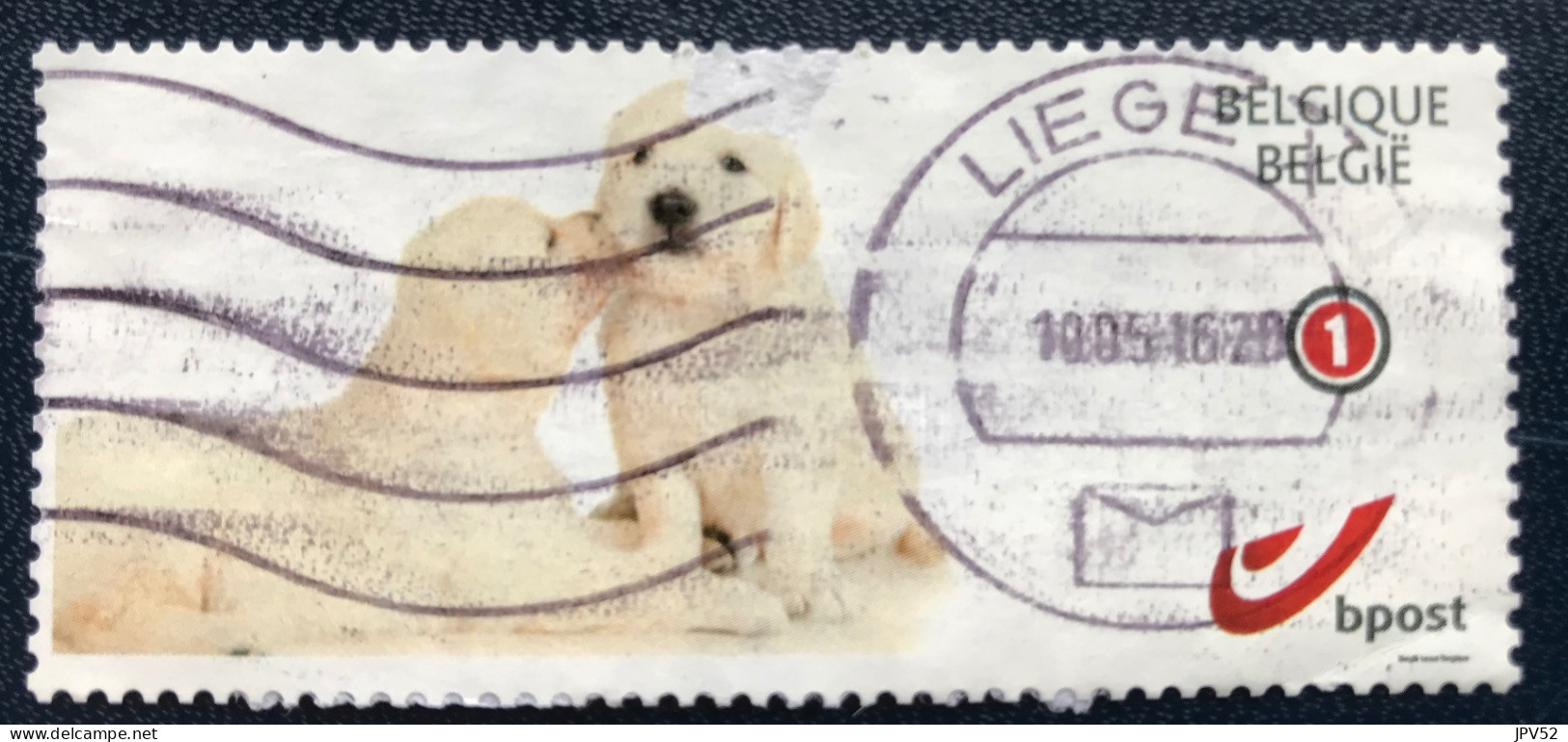 België - Belgique - C3/24 - 2015 - (°)used - Puppies - Used
