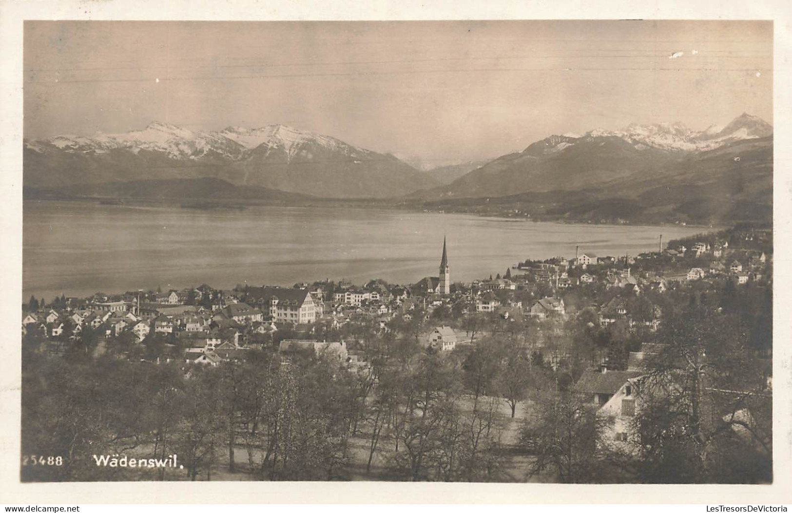 SUISSE - Wädenswil - Panorama - Carte Postale Ancienne - Wädenswil