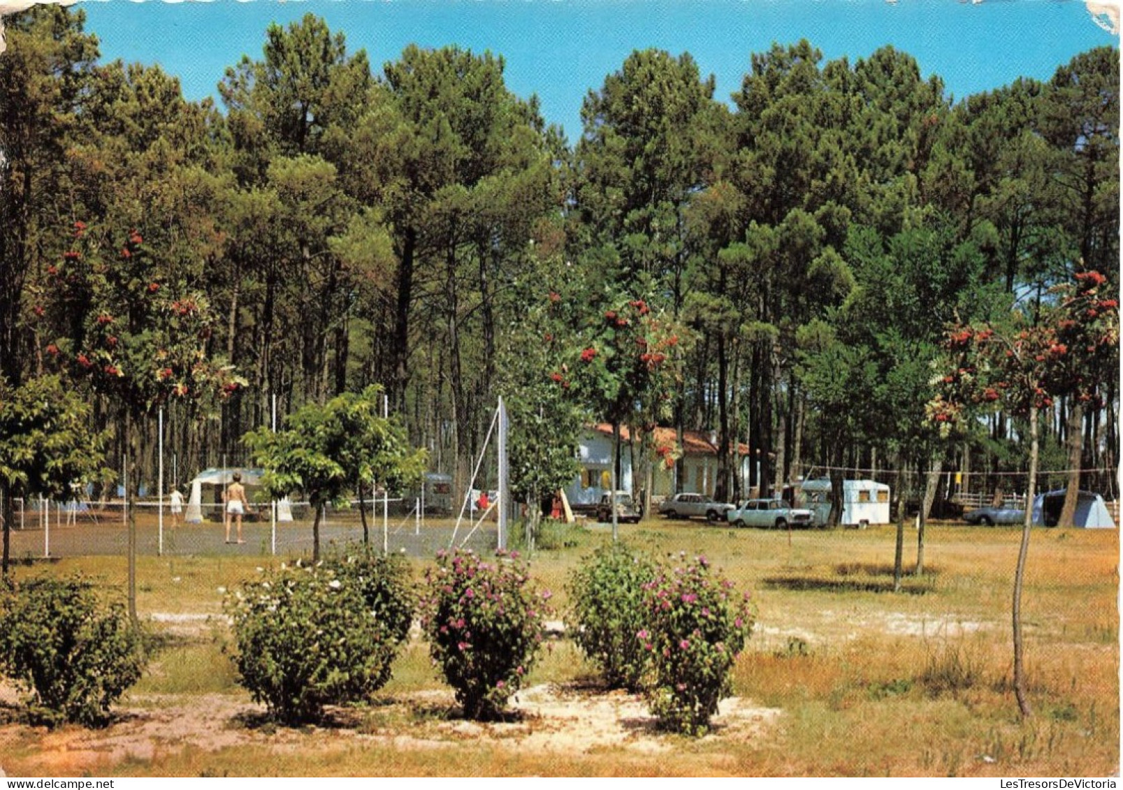 FRANCE - Vielle Saint Girons - Camping Du Col Vert - Colorisé - Carte Postale - Andere & Zonder Classificatie