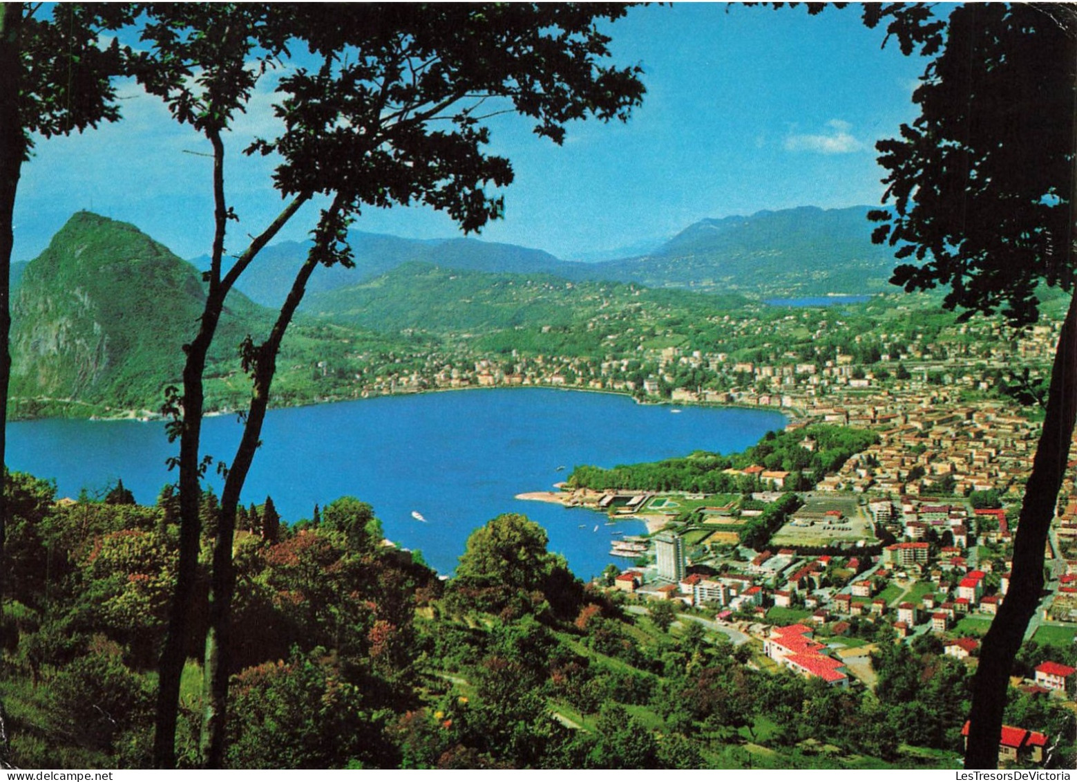 SUISSE - Lugano - Castagnola - Panorama Col Monte S.Salvatore - Colorisé - Carte Postale - Lugano