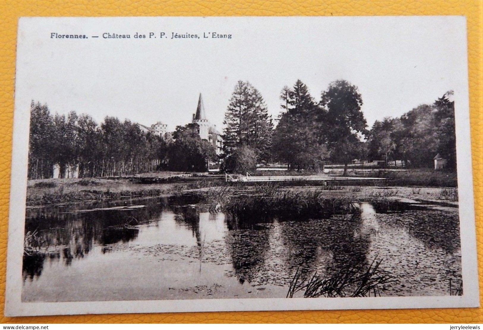FLORENNES  -  Château Des P. P.  Jésuites  - L'Etang - Florennes