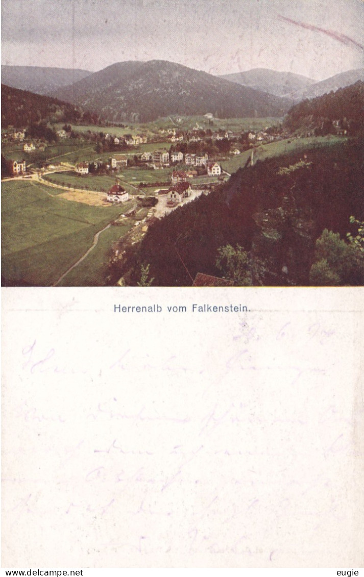 2948/ Herrenalb Vom Falkenstein, 1917 - Herrenberg