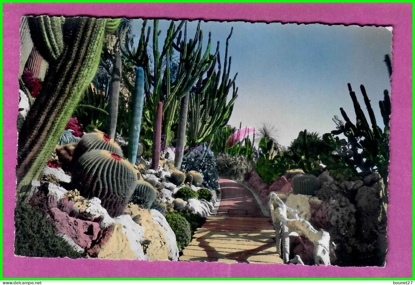 CPM MONACO - LE JARDIN EXOTIQUE Le Pont Des E Grusonii Cactus Fleur Carte Dentelée - Jardin Exotique