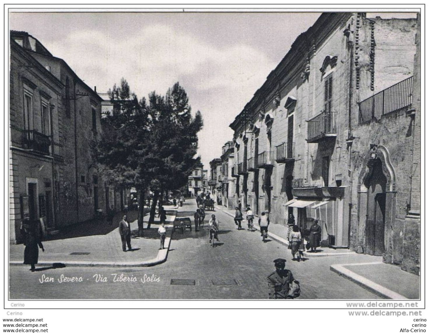 SAN  SEVERO:  VIA  TIBERIO  SOLIS  -  FOTO  OPACA  -  FG - San Severo