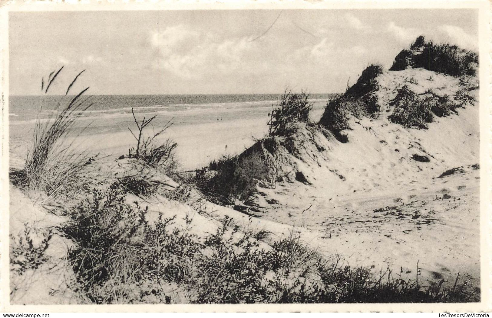 BELGIQUE - Westende - La Dune Ourlet De La Mer - Carte Postale Ancienne - Westende