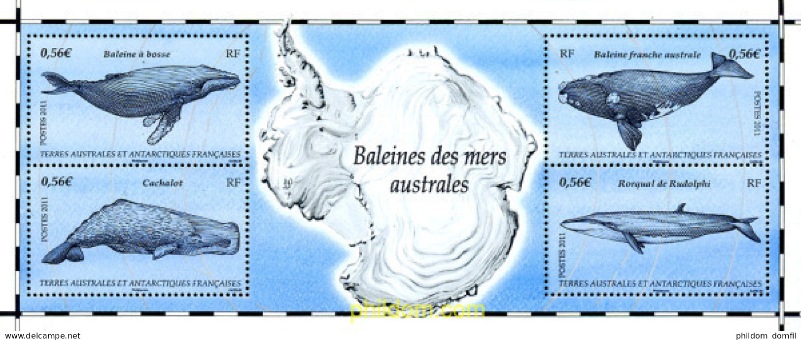 260531 MNH ANTARTIDA FRANCESA 2011 BALLENAS DE LOS MARES AUSTRALES - Unused Stamps