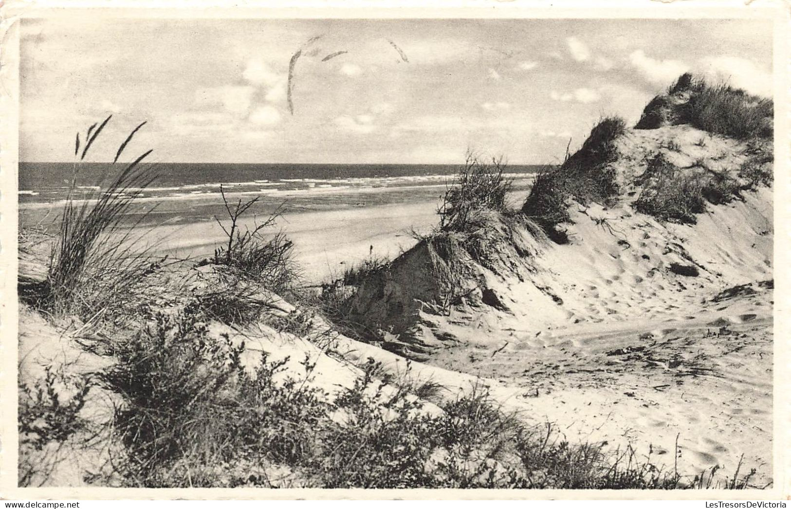 BELGIQUE - Knokke Zoute - Les Dunes - Ourlet De La Mer - Carte Postale Ancienne - Knokke