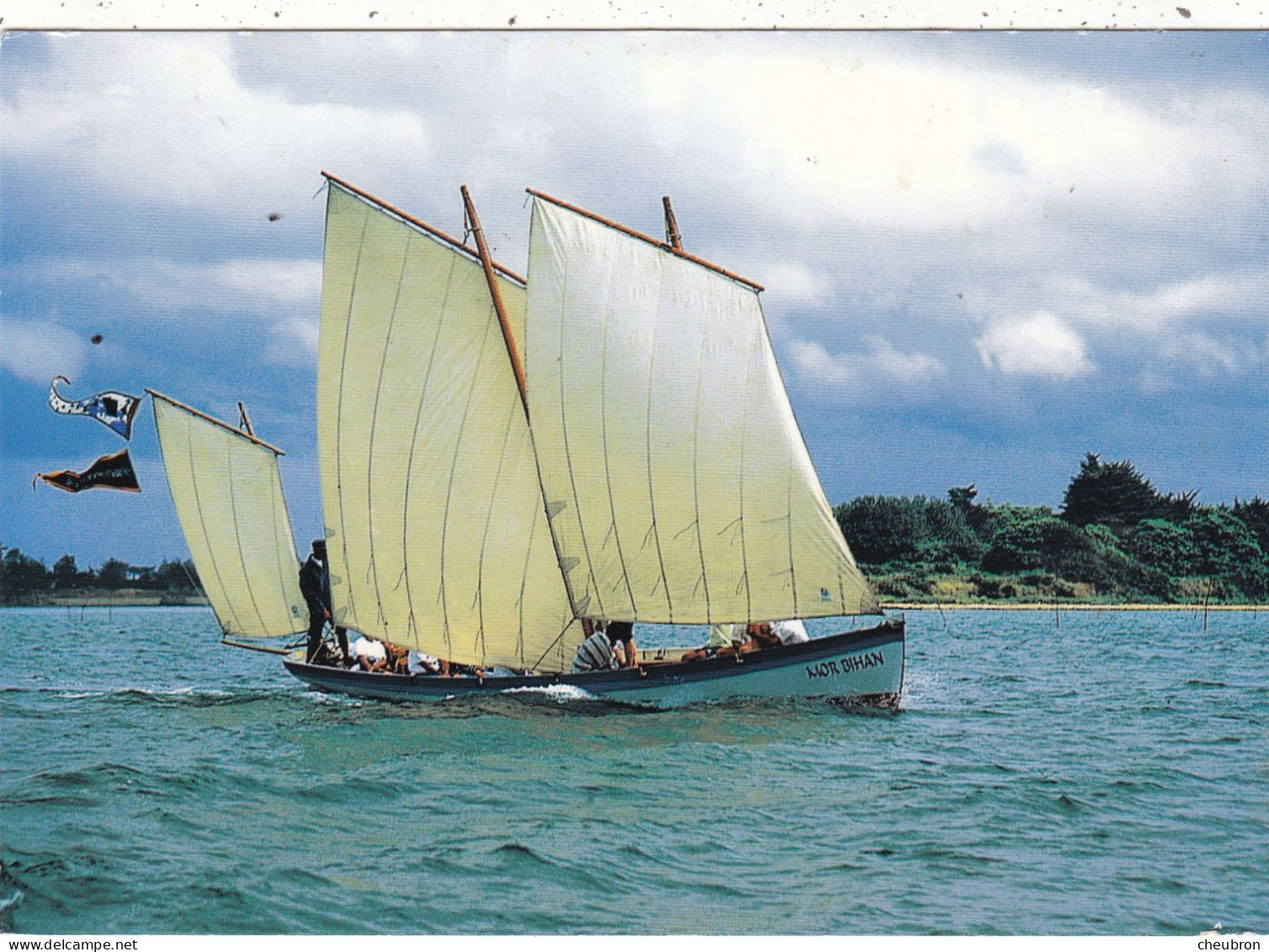 56. VOILIERS. CPSM.  LA YOLE " MORBIHAN ". DEVANT L'ILE D'ARZ. FORMAT  17 X12 Cm - Ile D'Arz