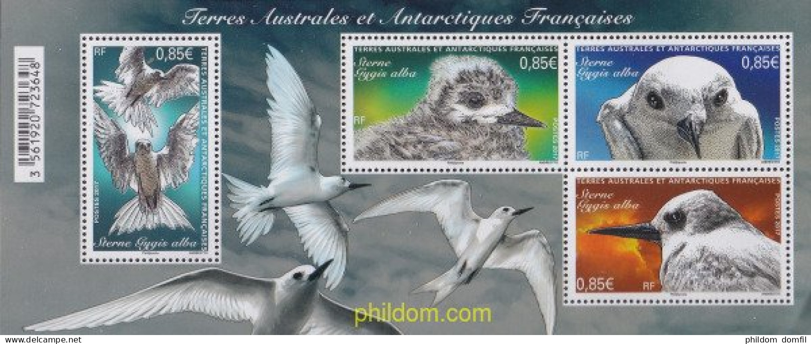 721158 MNH ANTARTIDA FRANCESA 2017 FAUNA AVIAR. STERNE DE TROMELIN - Neufs