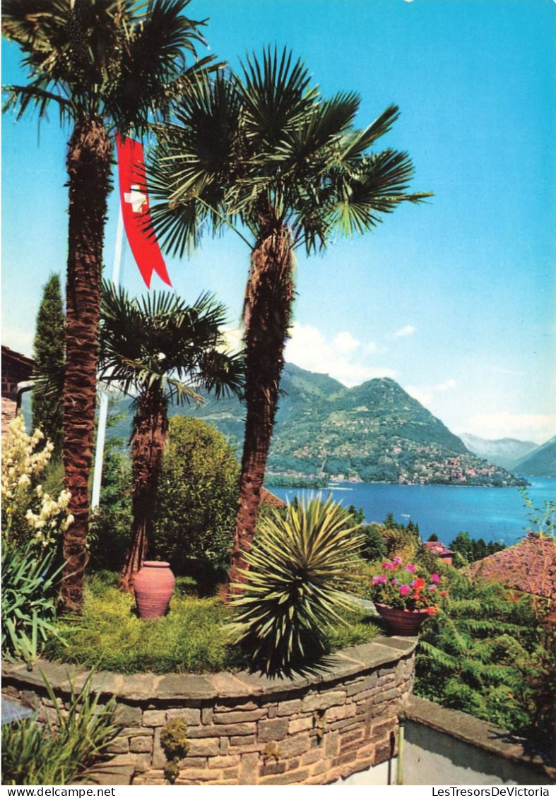 SUISSE - Lugano - Vue Partielle Avec Mont Bré - Carte Postale - Lugano