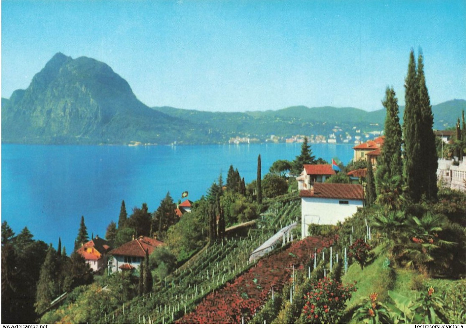 SUISSE - Lugano - Castagnola - Panorama - Carte Postale - Lugano