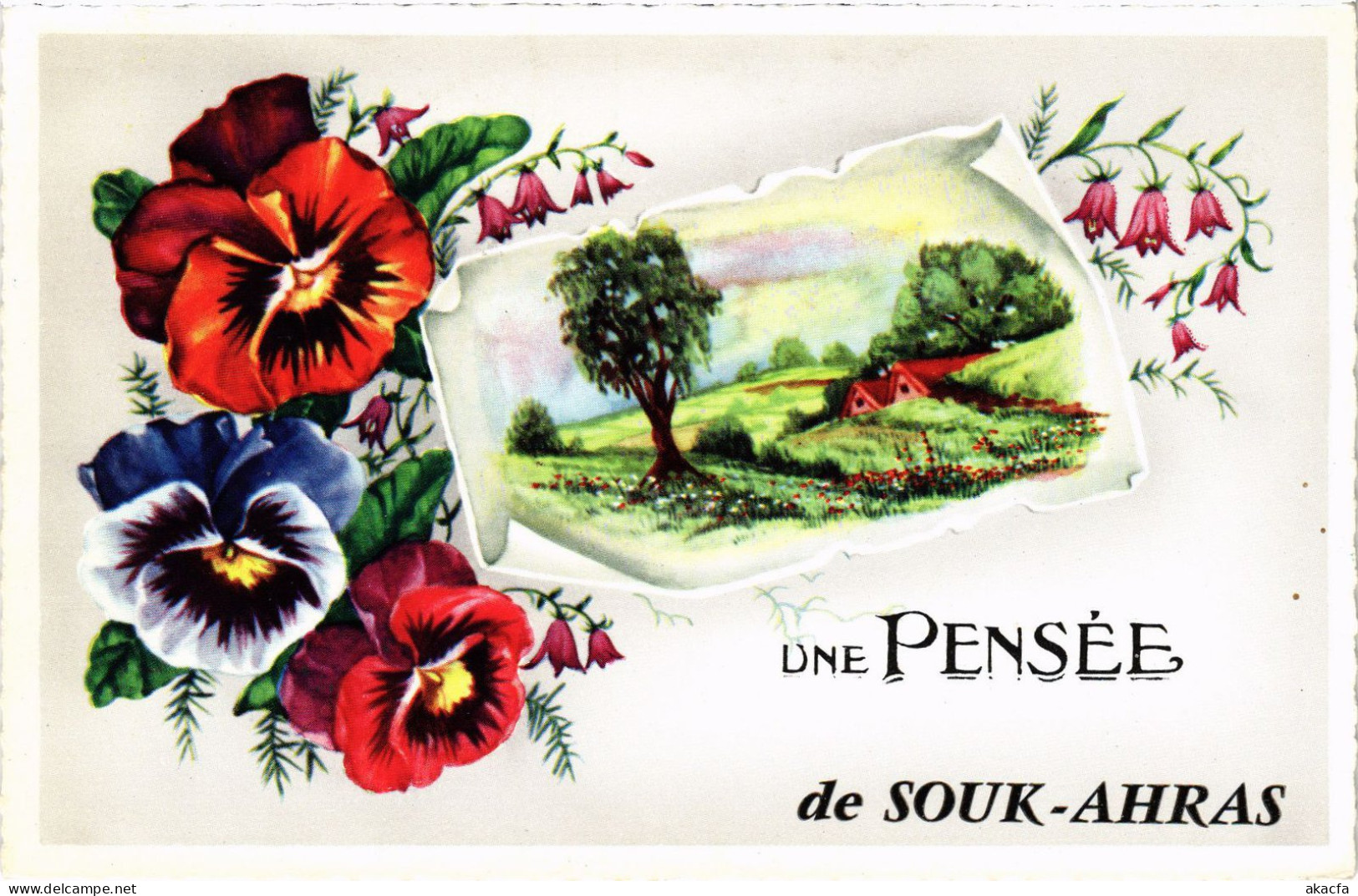 CPA AK Une Pensee De SOUK-AHRAS Landscape - Flowers ALGERIA (1380306) - Souk Ahras