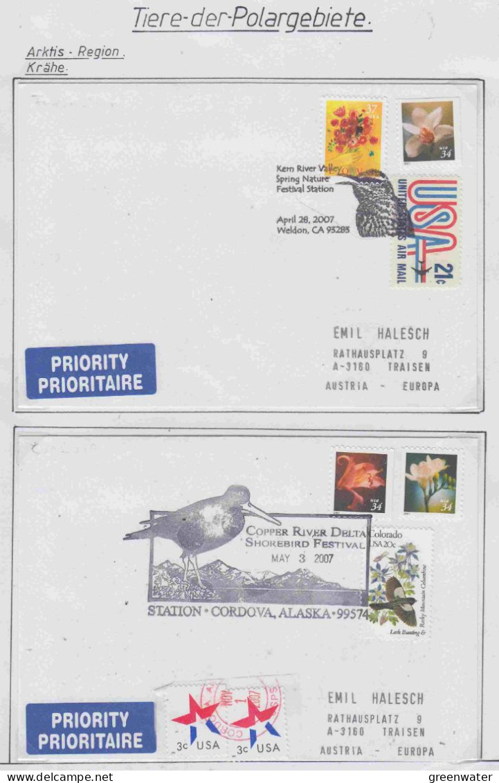 USA Krähe 2 Covers Ca 2007 (PD162) - Arctic Tierwelt