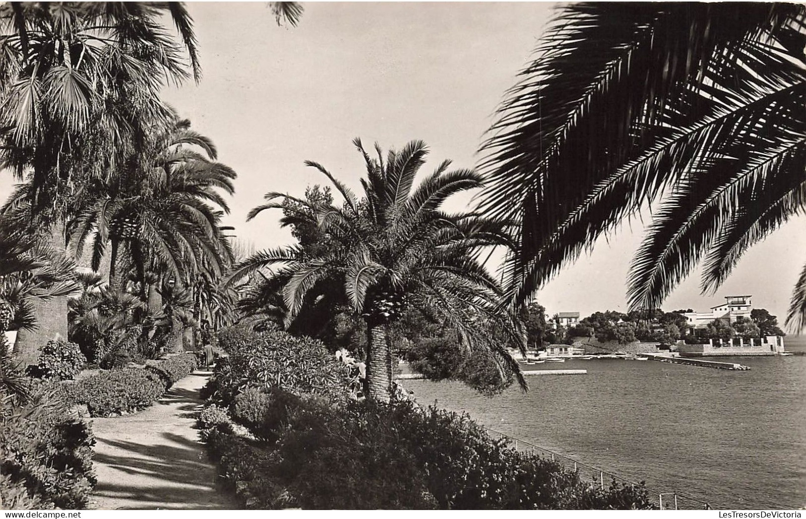 FRANCE - Beaulieu Sur Mer - Le Jardin Exotique - La Villa Kerylos - Carte Postale Ancienne - Beaulieu-sur-Mer