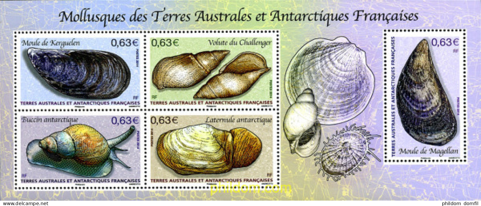 316186 MNH ANTARTIDA FRANCESA 2014 MOLUSCOS - Unused Stamps