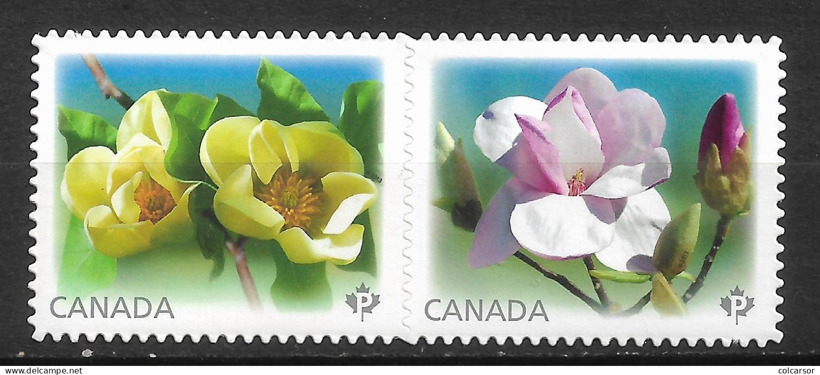 CANADA  N° 2823/24  " FLEURS " - Ongebruikt