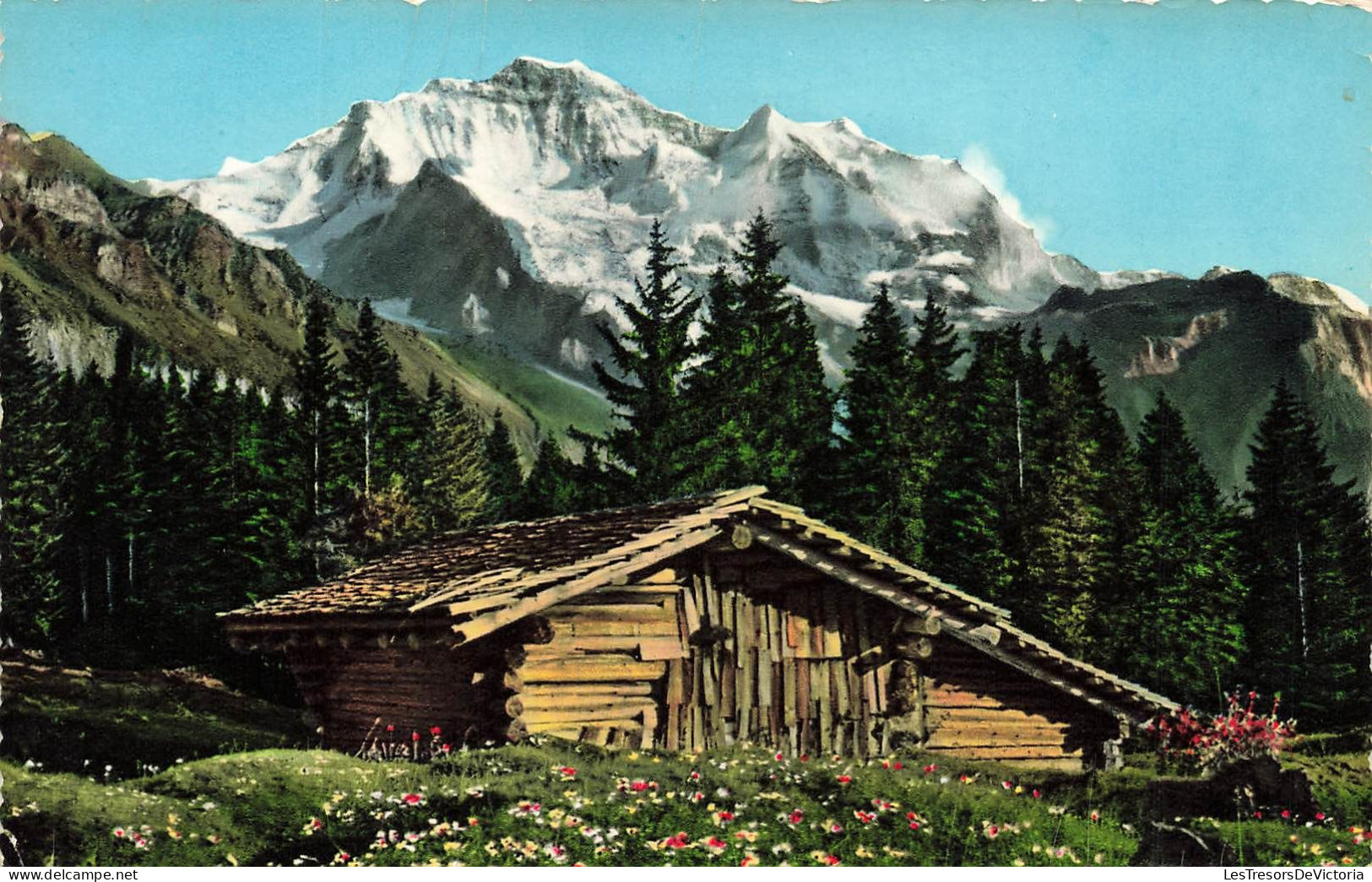 SUISSE - Jungfrau - Carte Postale - Autres & Non Classés