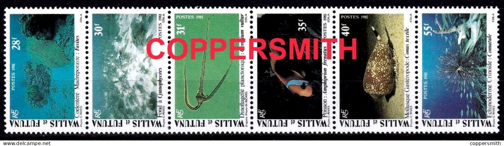 (073 ZD) Wallis + Futuna / 1981 / Fauna / Marine Animals / Meerestiere  ** / Mnh  Michel 390-395 - Sonstige & Ohne Zuordnung