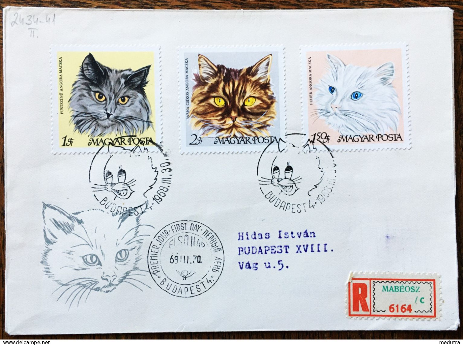 Magyar (Hongrie)  : T240 En Feuille Complète° (100 Timbres) + Enveloppe (timbres Et Oblitérations Chats) - Emisiones Locales