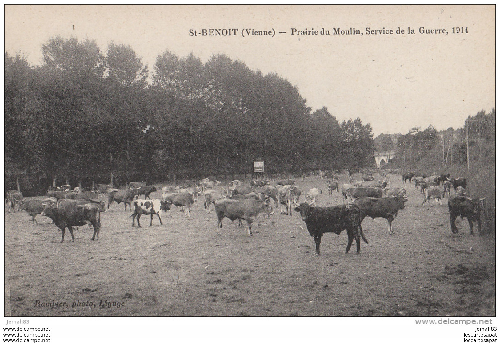 Vienne Saint Benoit Prairie Du Moulin Service De La Guerre 1914 (lot AE1) - Saint Benoit