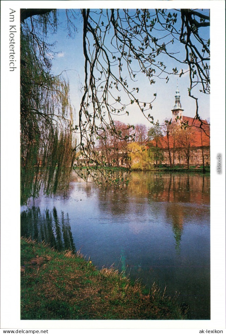 Ansichtskarte Neuzelle Am Klosterteich 1995 - Neuzelle