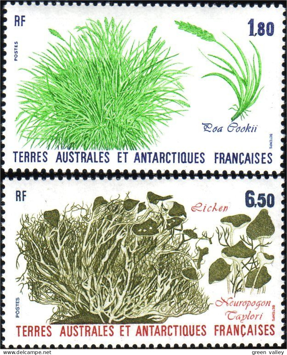 388 TAAF FSAT Lichen Algues Alga Seeweed MNH ** Neuf (f3-TAF-43b) - Faune Antarctique