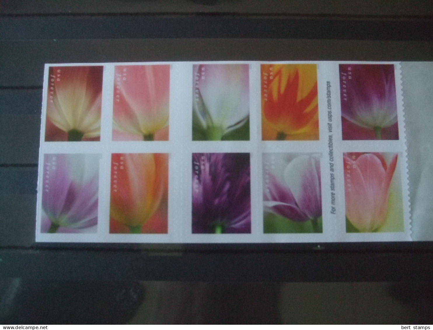 USA Tulpes Nice Set 2022 - Unused Stamps