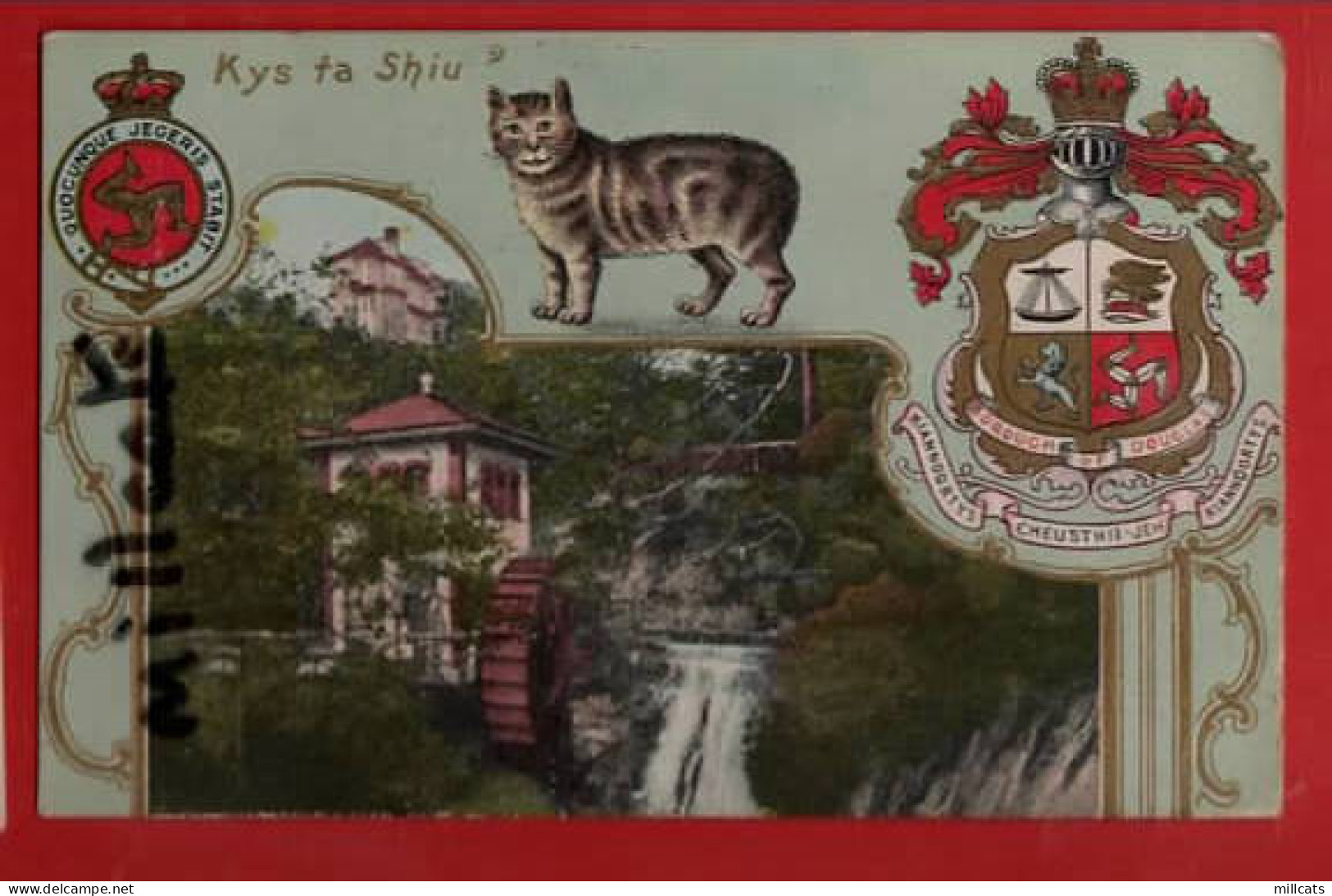 ISLE OF MAN   KYS TA SHIU       MANX CAT HERALDIC CREST   VIEW  - Isla De Man