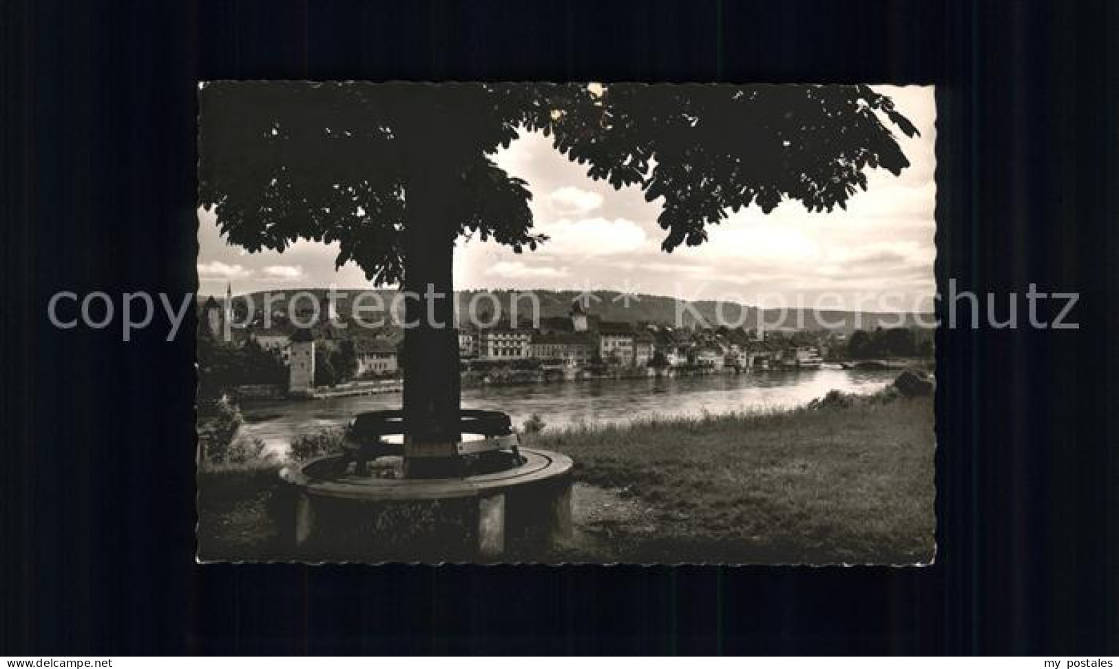 41561549 Rheinfelden Baden Rheinpartie  Rheinfelden (Baden) - Rheinfelden