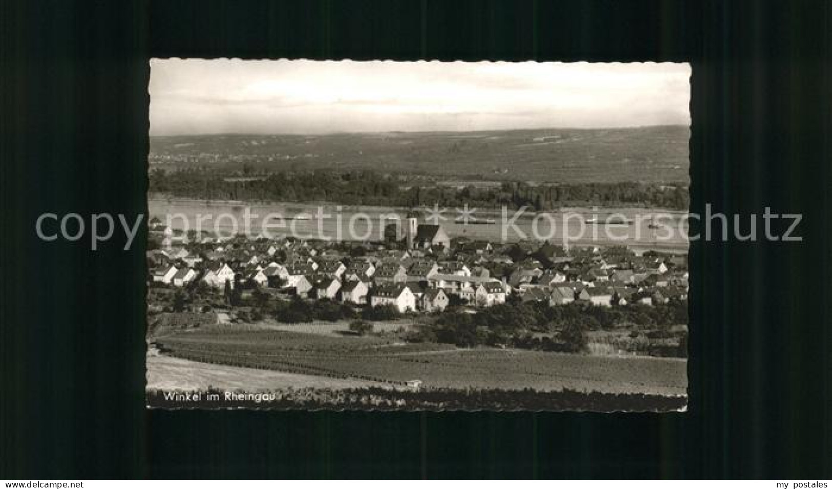 41561223 Winkel Oestrich-Winkel Panorama Oestrich-Winkel - Oestrich-Winkel