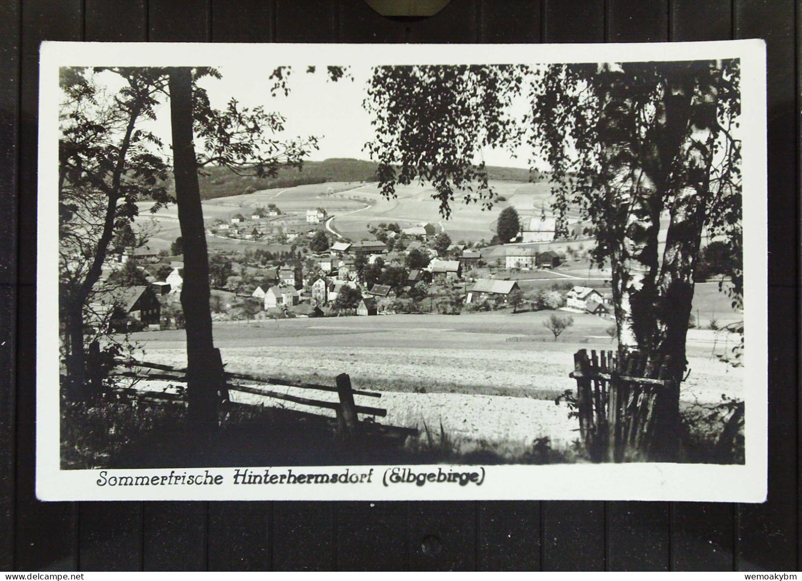 DR: Ansichtskarte Von Hinterhermsdorf (Elbgebirge) - Nicht Gelaufen, Um 1930 - Hinterhermsdorf