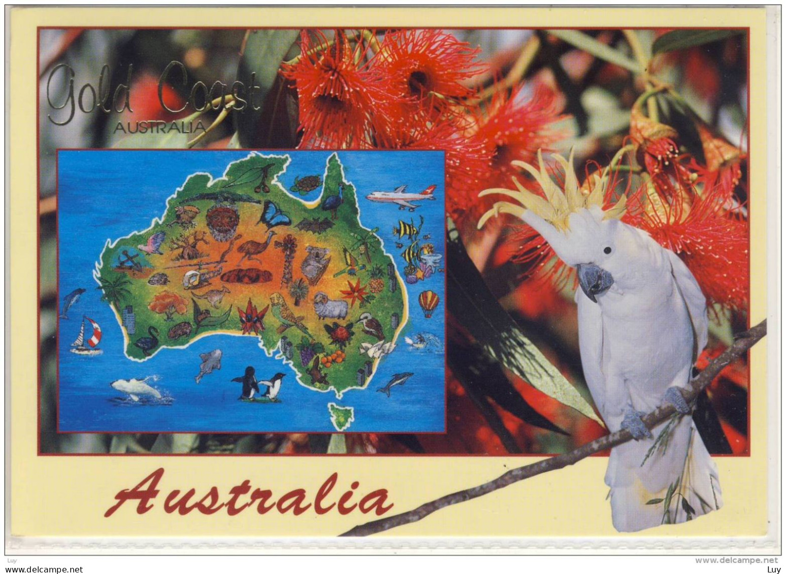 Parrot On GOLD COAST, Map Australia,  Nice Stamp - Gold Coast