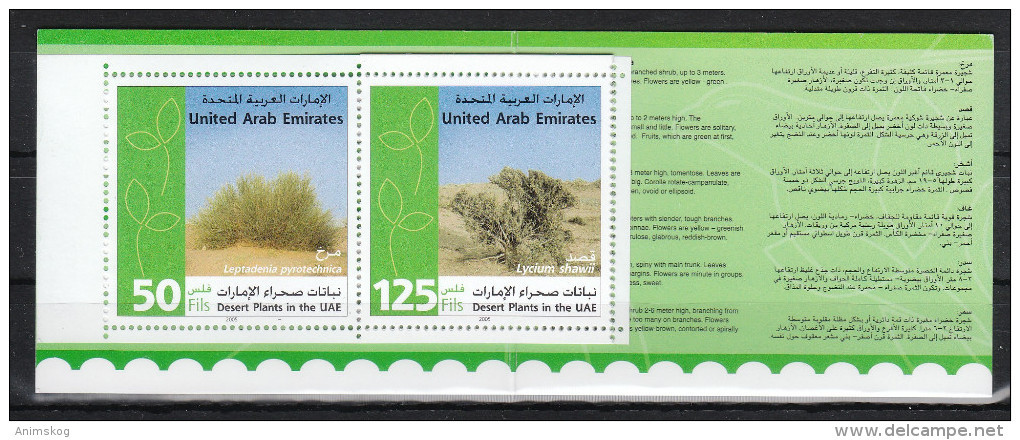 VAE 2005**, Garten-und Wüstenblumen, Sukkulente Lampranthus / UAE 2005, MNH, Garden And Desert Flowers, Succulent - Sukkulenten