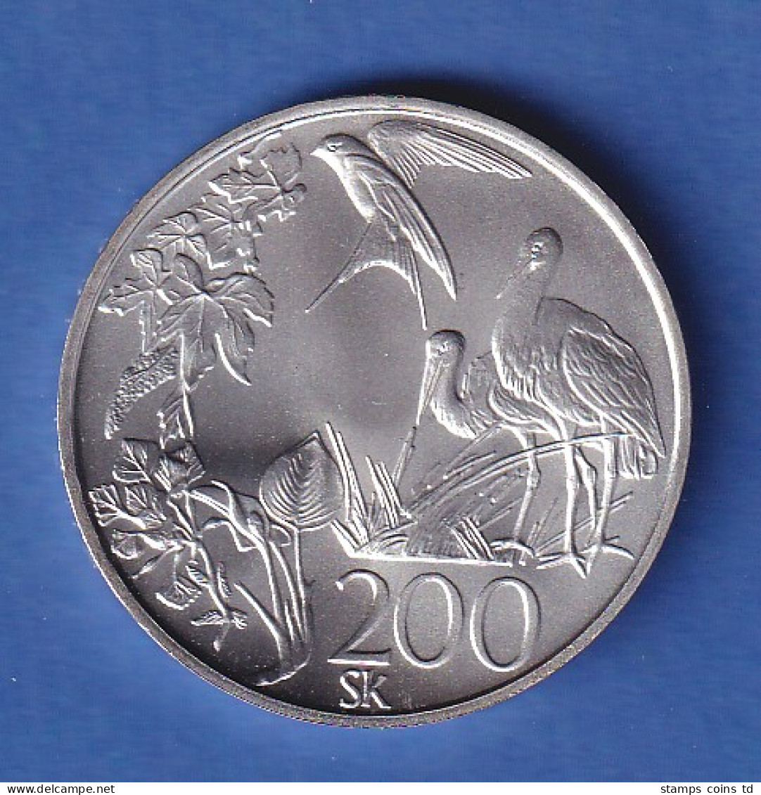 Slowakei 1995 Silbermünze 200 Kronen Europäisches Naturschutzjahr Vögel Stg - Eslovaquia