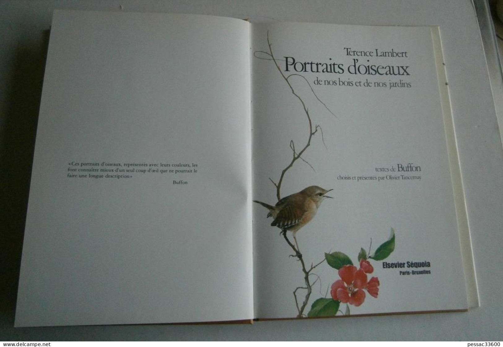 Portraits D’oiseaux De Nos Bois Et De Nos Jardins  Terence Lambert RE BE édition Elsevier-Sequoia 1977 - Picardie - Nord-Pas-de-Calais