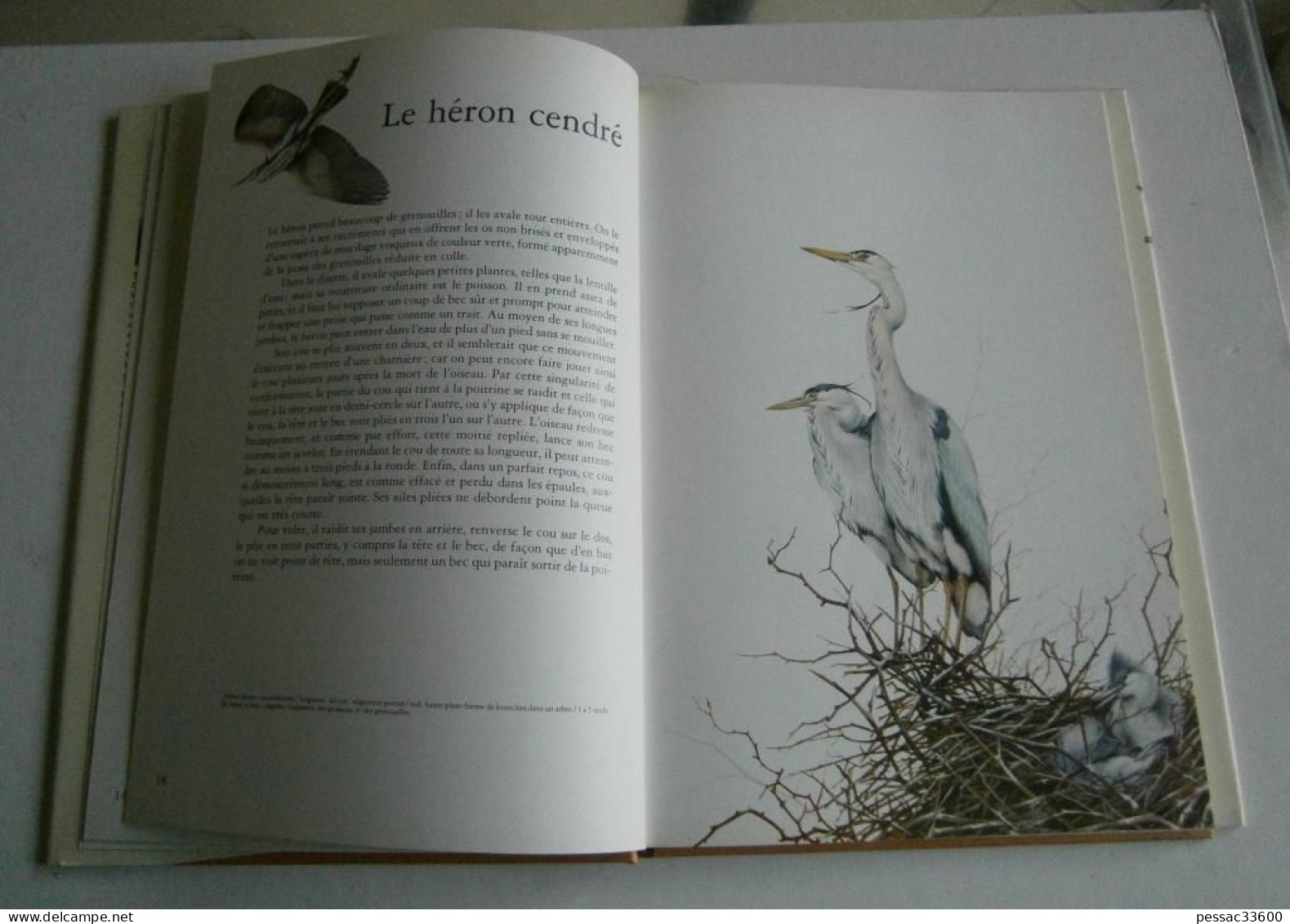 Portraits d’oiseaux de nos bois et de nos jardins  Terence Lambert RE BE édition Elsevier-Sequoia 1977