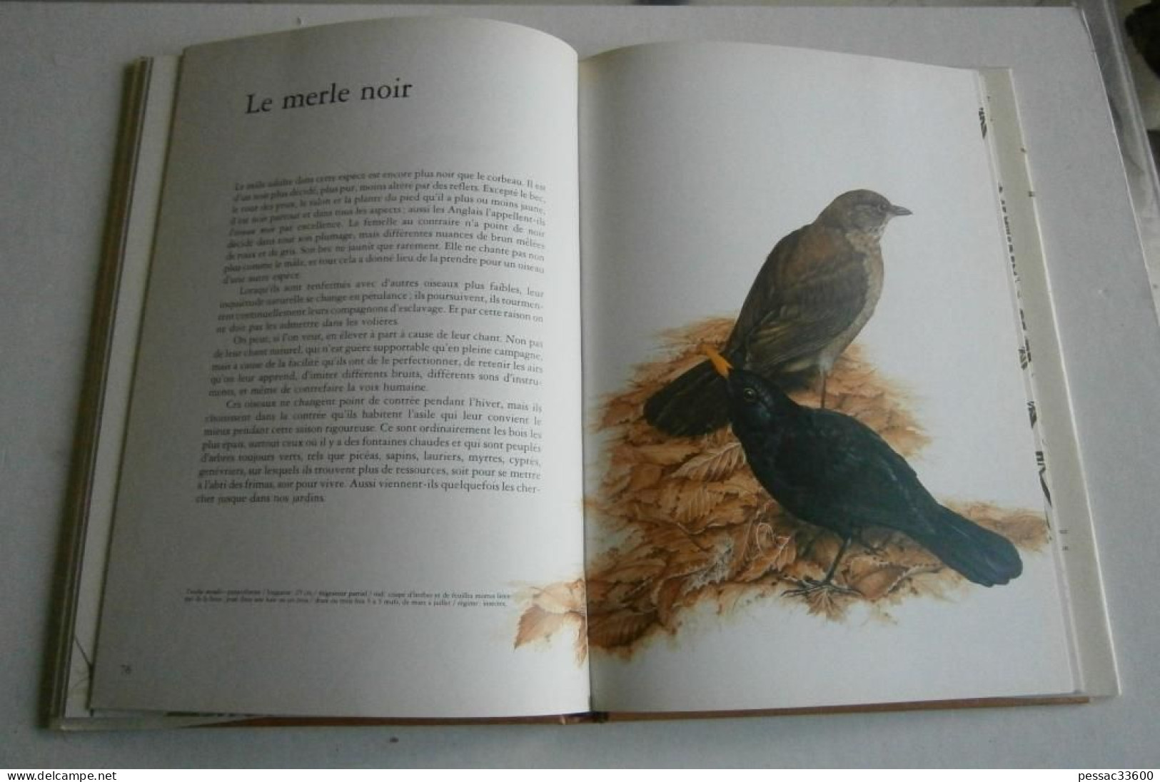 Portraits d’oiseaux de nos bois et de nos jardins  Terence Lambert RE BE édition Elsevier-Sequoia 1977