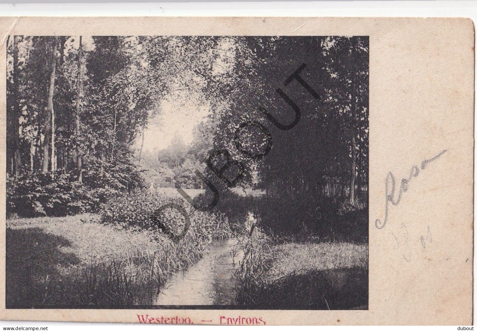 Postkaart/Carte Postale - Westerloo - Environs (C5317) - Westerlo