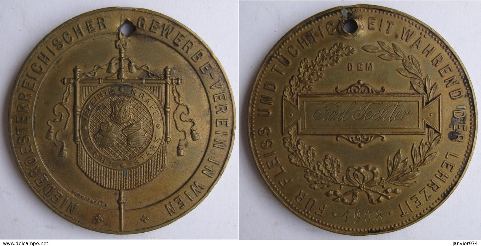 Autriche. Médaille En Cuivre Association Professionnelle De Vienne 1908 - Autres & Non Classés