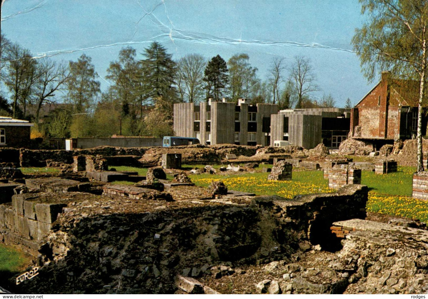 59 , Cpm  BAVAY , 59570 , Site Archéologique , Fouille Et Musée Au Fond  (06382) - Bavay